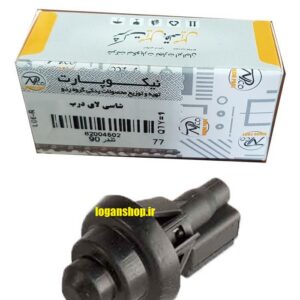 شاسی لای درب ساندرو